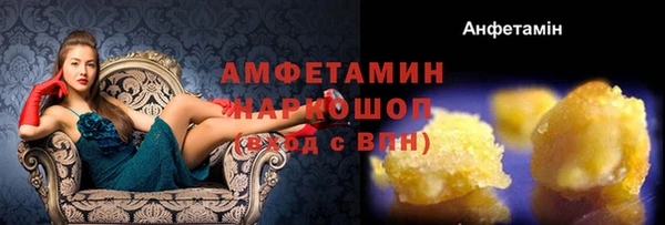 соль ск Бородино