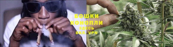 соль ск Бородино
