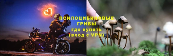 соль ск Бородино