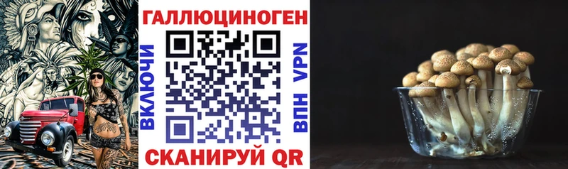 продажа наркотиков  Невельск  Псилоцибиновые грибы GOLDEN TEACHER 